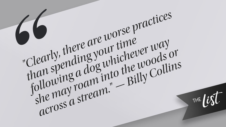 Billy Collins quote from his poem "The Following Dogs" published in 2025