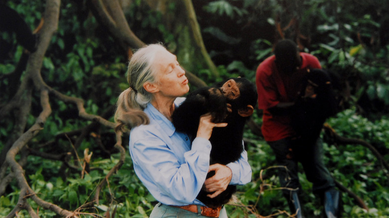 Jane Goodall making a kissy face while holding a chimpanzee