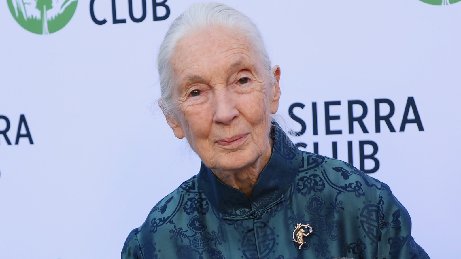Quote Of The Day By Jane Goodall: 'If You Don't Think What You Do Is Going To Make Any Difference, Why...'