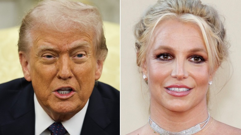 Split image of Donald Trump and Britney Spears