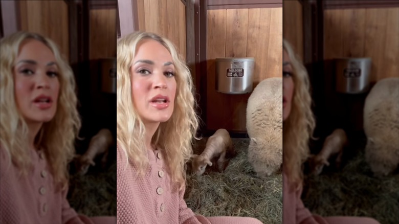 Carrie Underwood talking with sheep