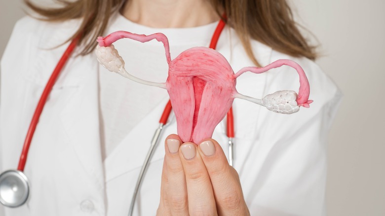 Doctor and model uterus 