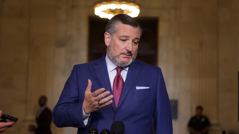 Sen. Ted Cruz (R-TX) speaks to members of the press outside the "AI Insight Forum" at the Russell Senate Office Building on Capitol Hill on September 13, 2023 in Washington, DC.