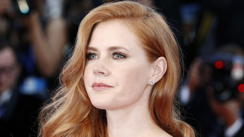 Amy Adams on the red carpet