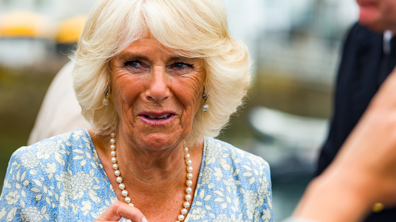 Camilla Parker Bowles posing 