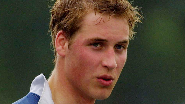 Young Prince William