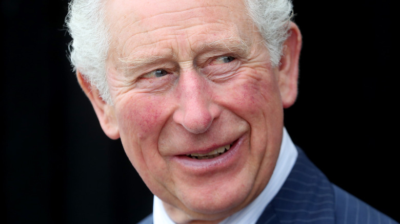 Prince Charles smiles in a photograph. 