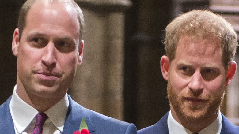 Prince William and brother Prince Harry.