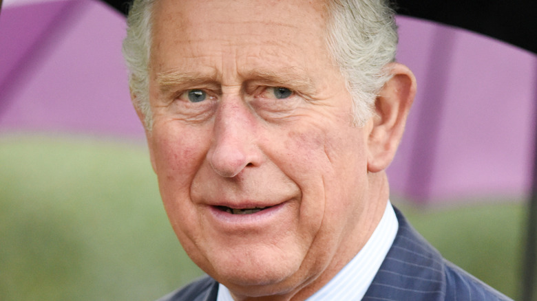 Prince Charles at an event.