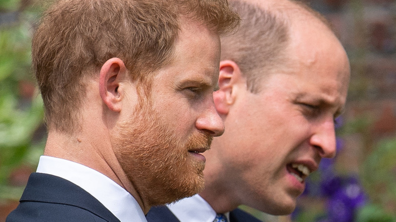 Princes William and Harry at Diana's statue unveiling