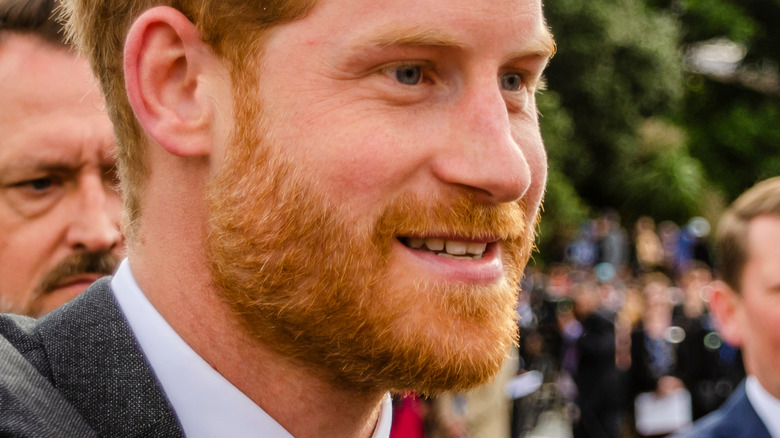 Prince Harry smiling with crowds