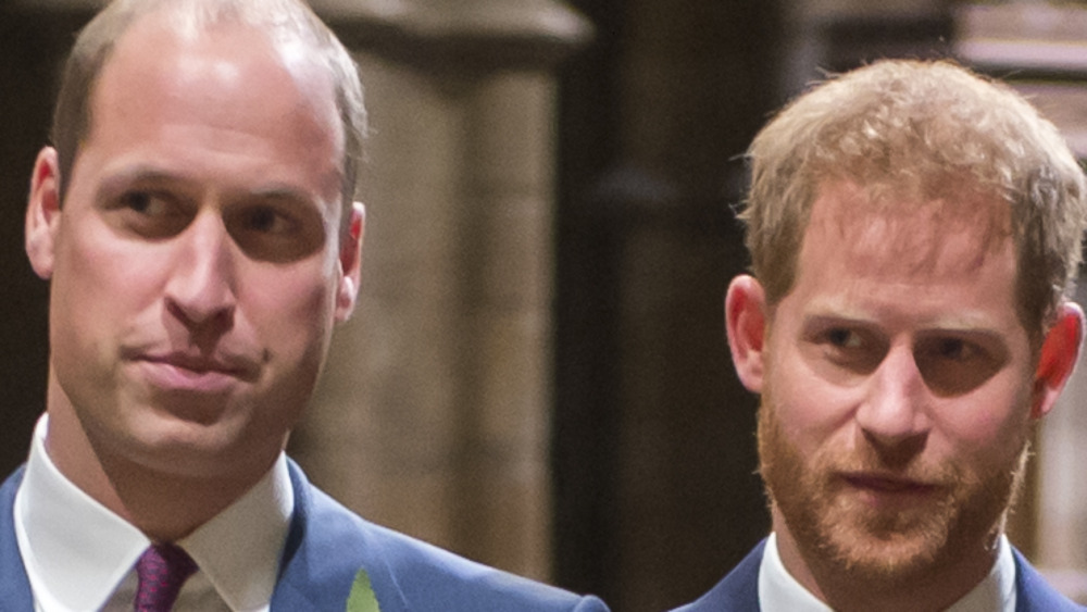Prince William and Harry looking serious