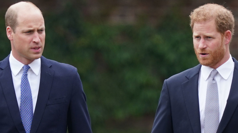 Brothers Prince William and Prince Harry at the unveiling of mother Diana's statue