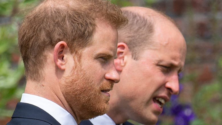 Prince Harry and Prince William at a royal event 