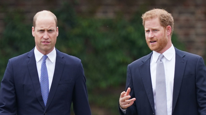Harry and William at unveiling of Diana's statue