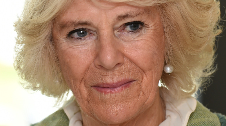 Camilla Parker Bowles at an event 