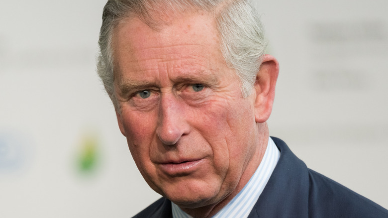Prince Charles at a royal event