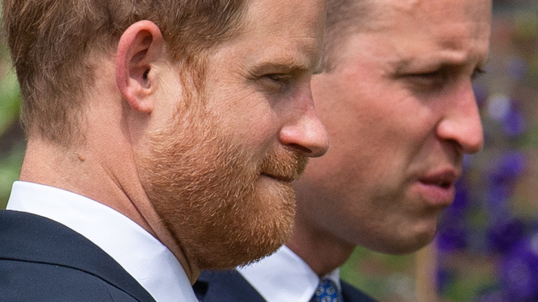 Princes William and Harry