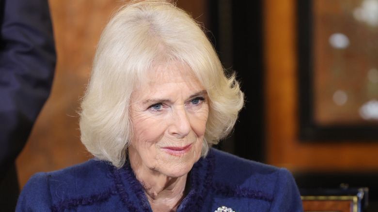 Queen Consort Camilla