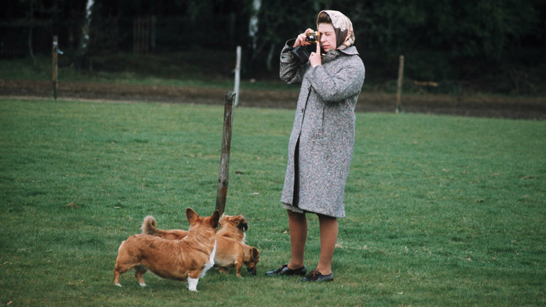 Queen Elizabeth II with her corgis