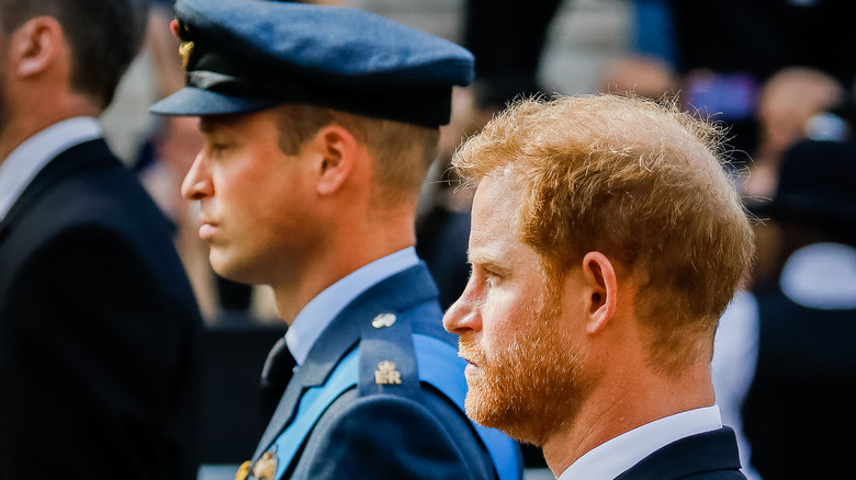 Prince William and Prince Harry