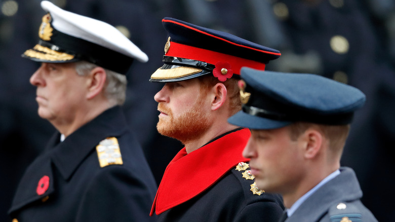 Andrew, Harry, and William in 2017