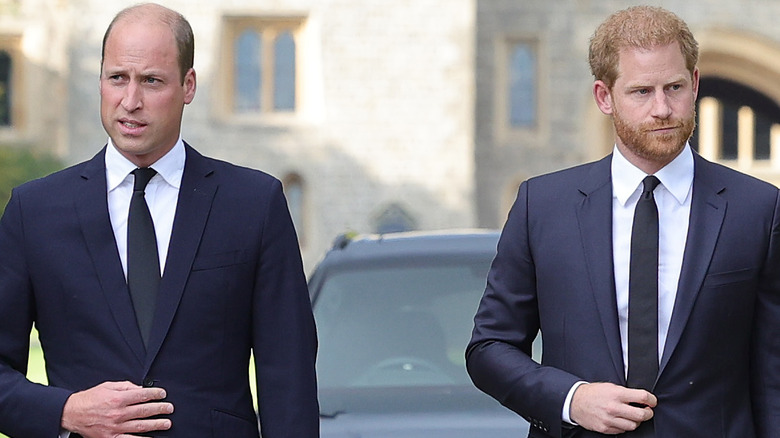 Prince William and Prince Harry