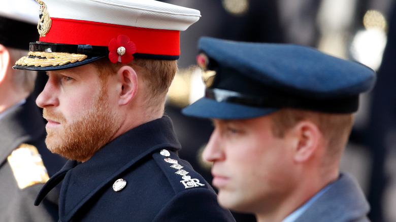 Prince Harry and Prince William at event 