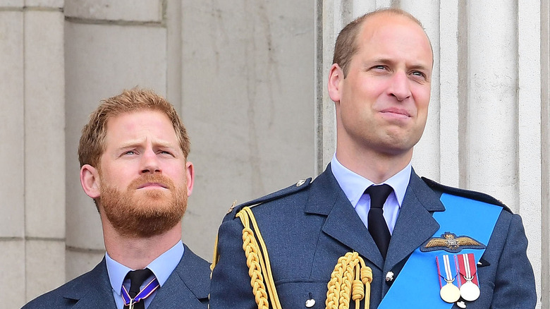 Prince Harry and Prince William 