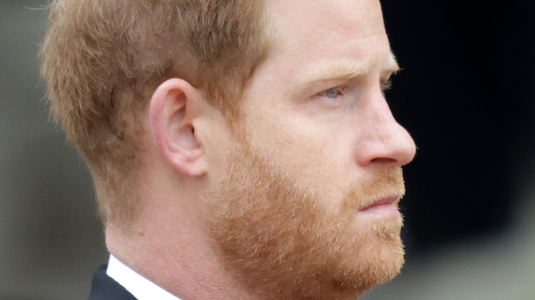 Prince Harry profile queen funeral
