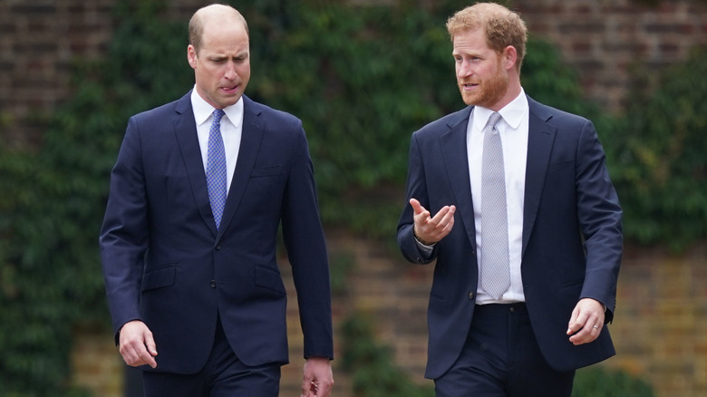 Princes William and Harry at Diana's statue unveiling