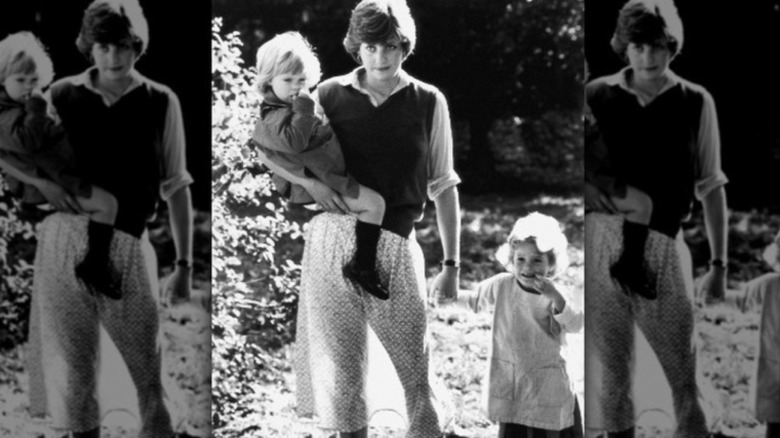 Princess Diana in transparent skirt