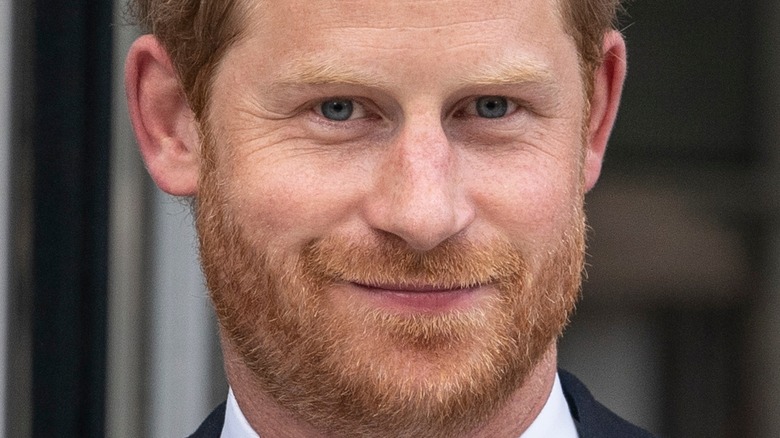 Prince Harry slight smile