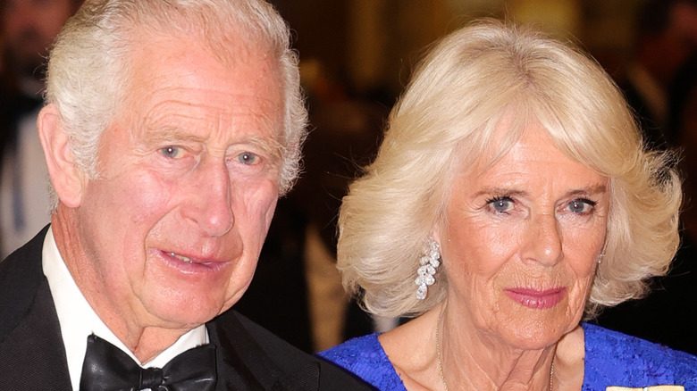 Prince Charles and Camilla Parker Bowles