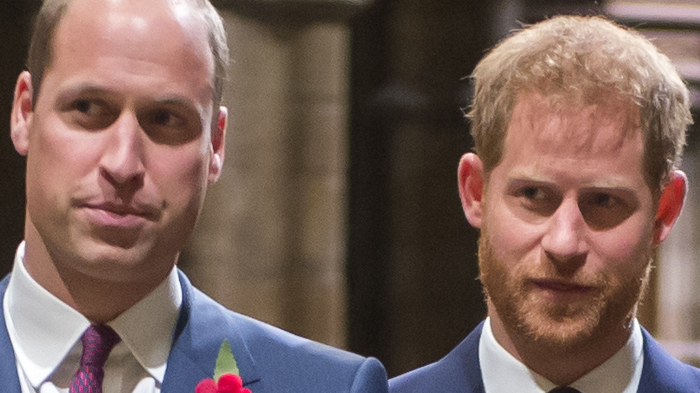 Princes William and Harry