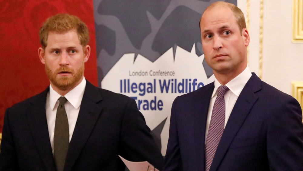 William and Harry wildlife fund