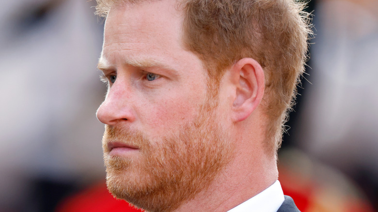 Prince Harry in profile