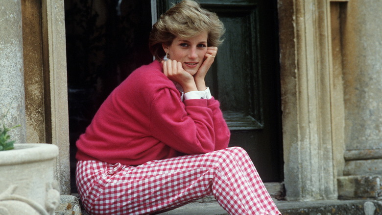 Princess Diana sitting