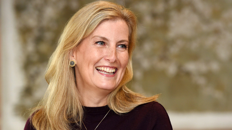 Duchess Sophie speaks to guests during her visit at 'The Half Moon' public house (2020)