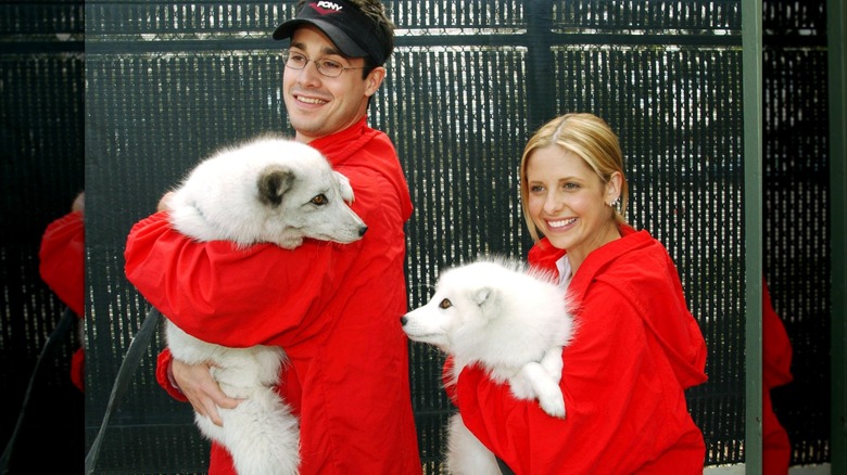 Freddie Prinze Jr. and Sarah Michelle Gellar holding arctic foxes