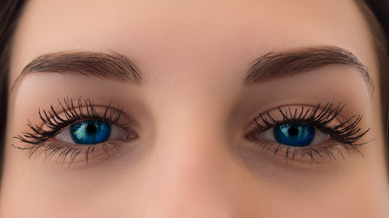 Close-up of woman with blue eyes and lengthening mascara