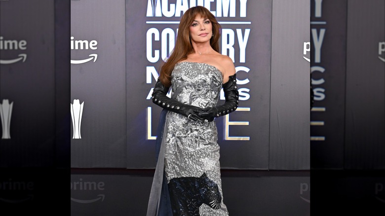 Shania Twain posing in a strapless silver dress