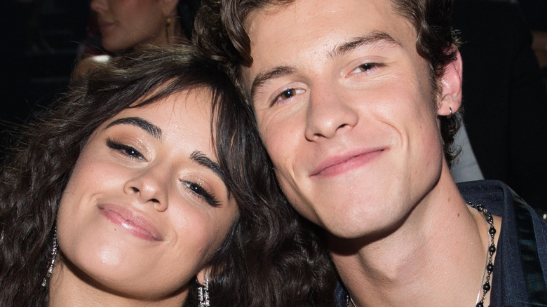 Shawn Mendes and Camila Cabello snuggle up