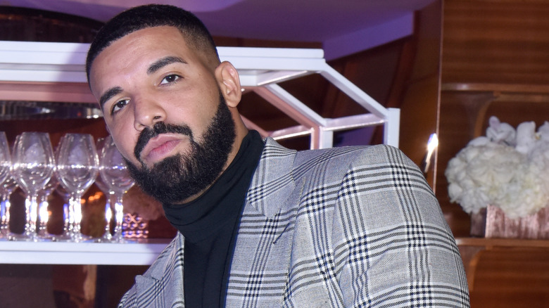 Drake posing in front of wine glasses