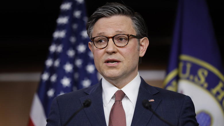 Mike Johnson speaks into microphones