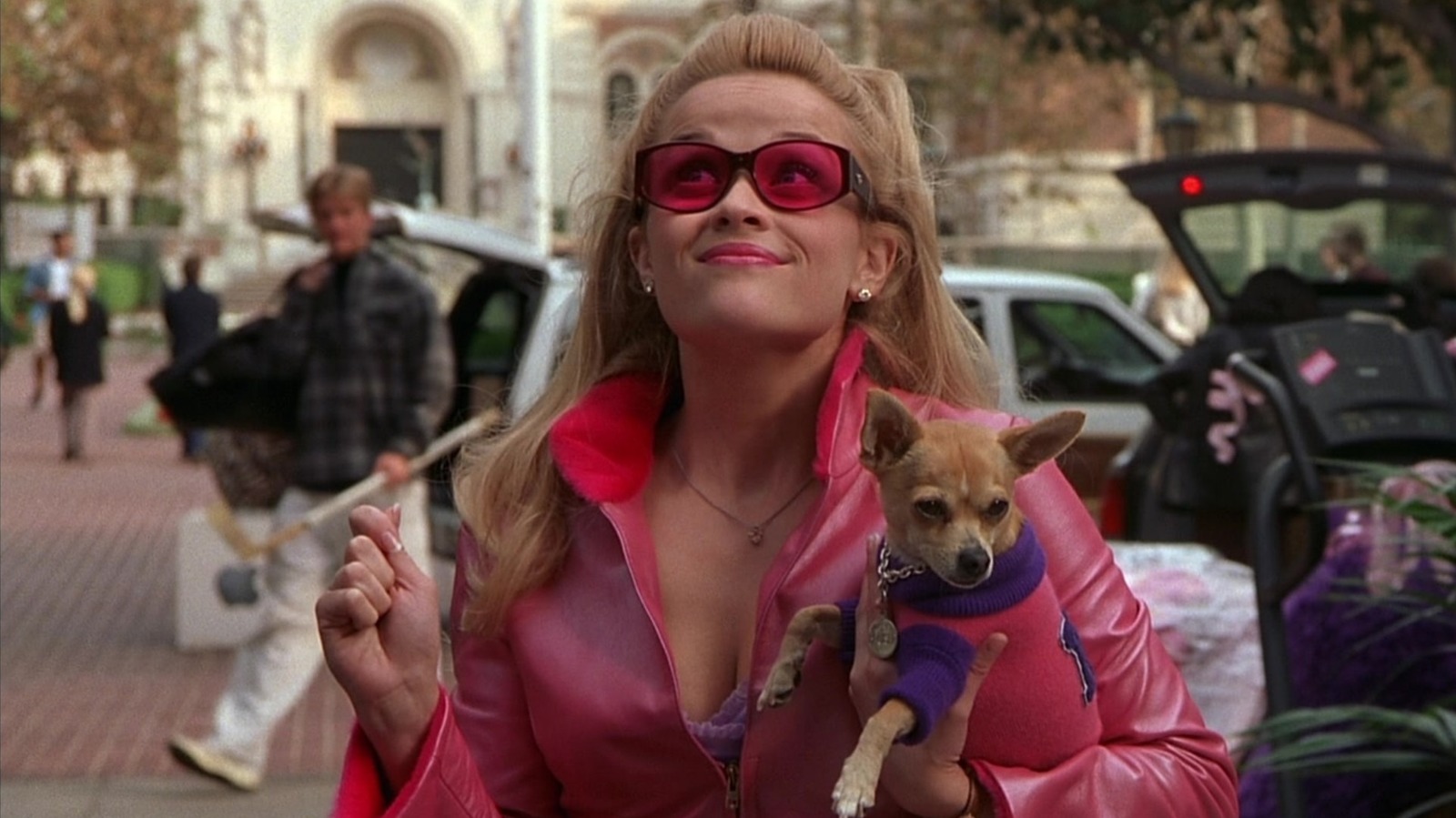<a href="https://www.thelist.com/2169574/side-by-side-pics-what-legally-blonde-cast-looks-like-now-25th-anniversary/" target="_blank">Side-By-Side Pics Of What The Legally Blonde Cast Looks Like Now</a>