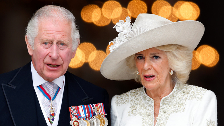 Camilla and Charles close-up