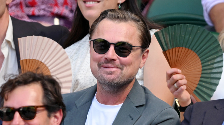 Leonardo DiCaprio smirking