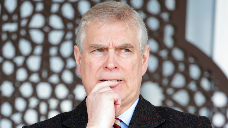 Prince Andrew pondering