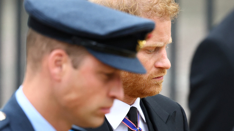 Prince William and Prince Harry close-up